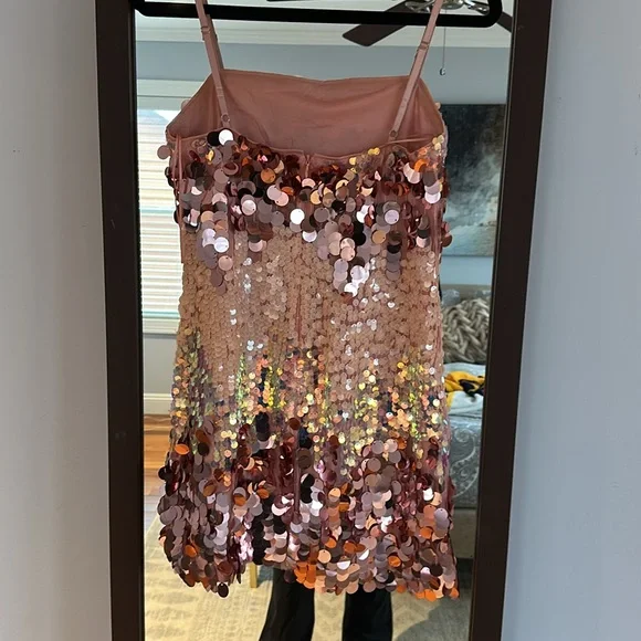 Pink 12th Tribe Emmy Sequin Dress - Picture 6 of 6